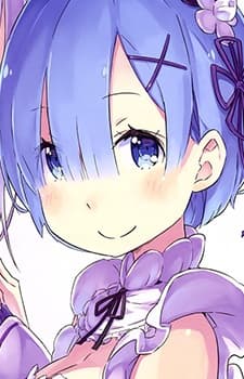 Rem-image